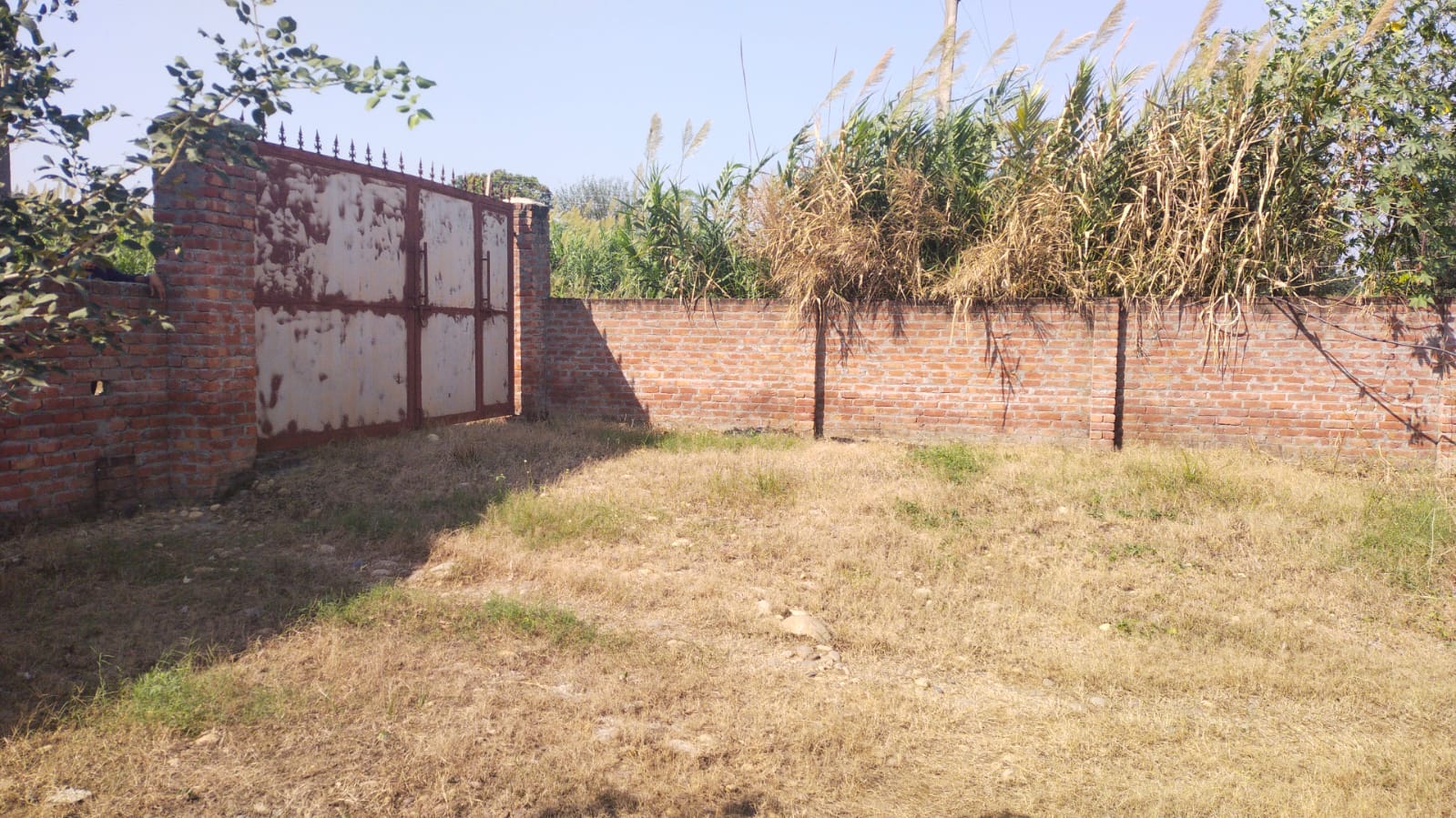 Factory Land & Building