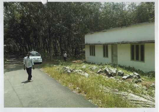 ROAD VIEW - SOUTHERN SIDE